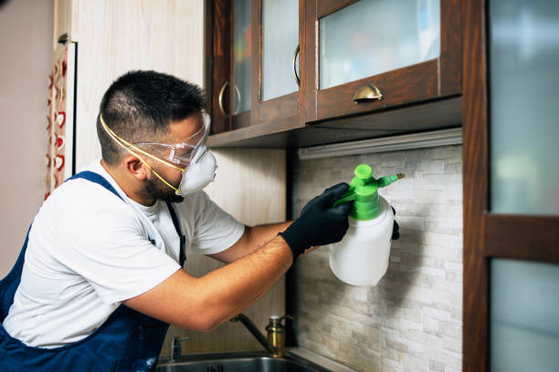 Best Best Pest Control Companies  in Monmouth Junction, NJ