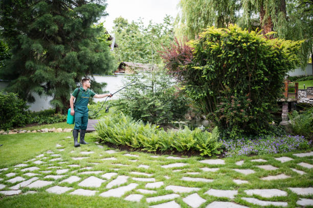 Best Emergency Pest Control  in Monmouth Junction, NJ