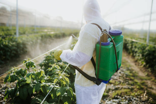 Best Residential Pest Control  in Monmouth Junction, NJ